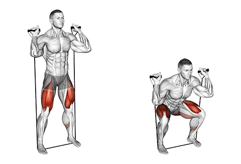 Bentræning med træningselastik: Squat med elastik