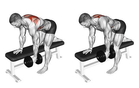 Bent-over scapula row med håndvægt