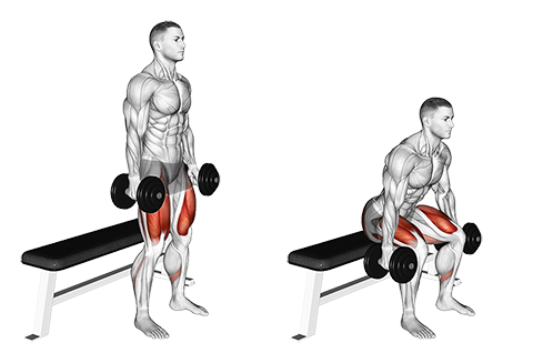 Squat på bænk med håndvægte