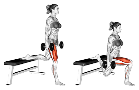 Bulgarian split squat med håndvægte