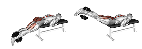 Reverse hyperextension med håndvægt