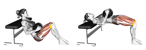 Hip Thrust med håndvægt