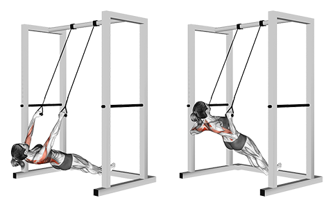 TRX rygtræning