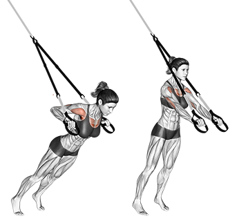 TRX Bryst pres