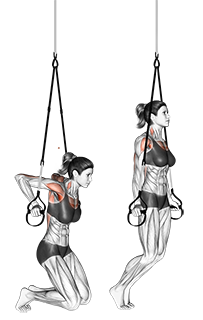 Dips med TRX