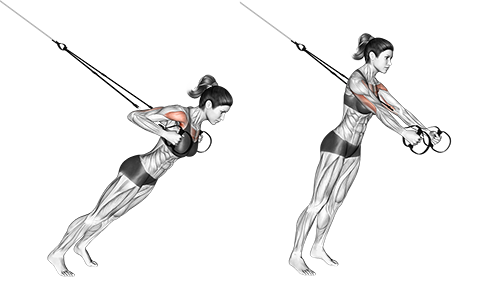 Close grip bryst pres med trx