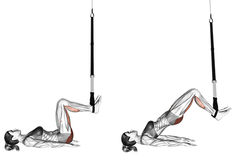 Suspender Hip Bridge