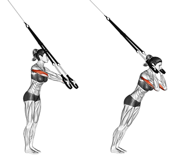 Triceps Extension med slynger