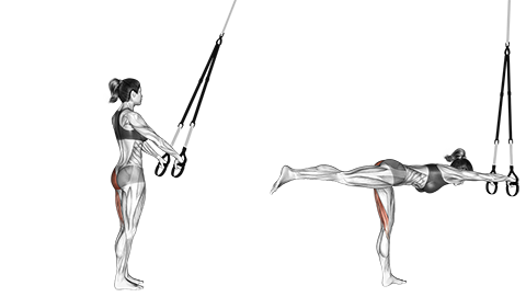 Suspender Single Leg Deadlift - TRX øvelse