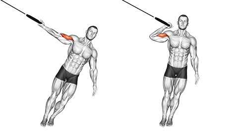 One Arm Biceps Curl med slynger