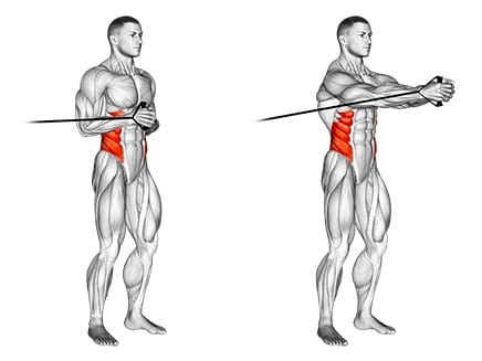 Horizontal Pallof press
