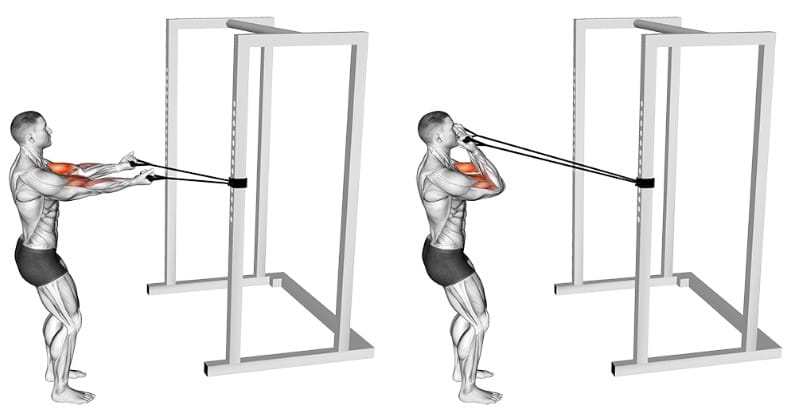 Horizontal Biceps Curl med elastik - øvelser med elastik arme