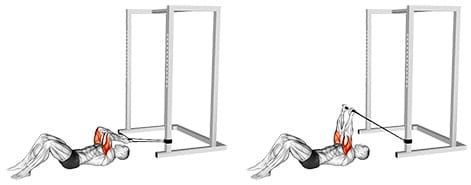 Lying Reverse Grip Pressdown med elastik
