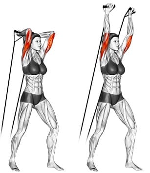 Overhead Triceps Extension med elastik